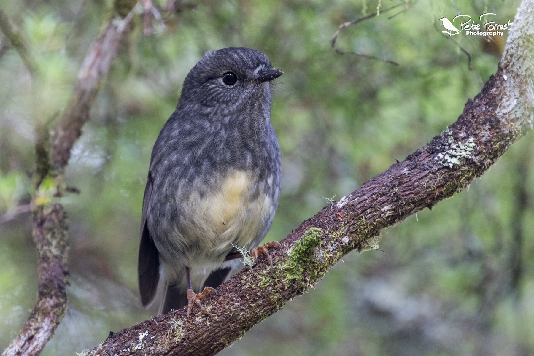 20190525-Tarawera Trail-0764